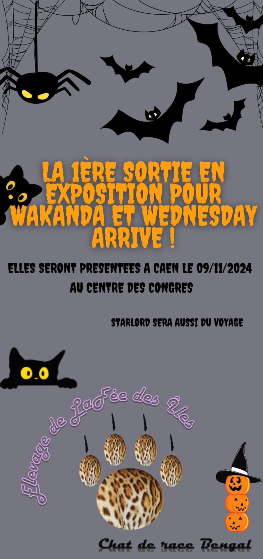 1ere sortie en exposition pour wakanda et wednesday