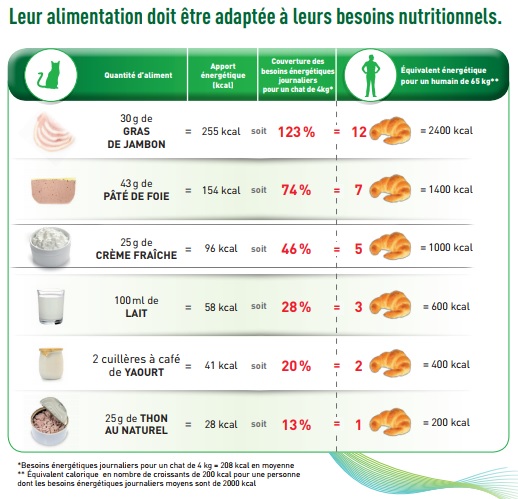 Equivalent alimentaire